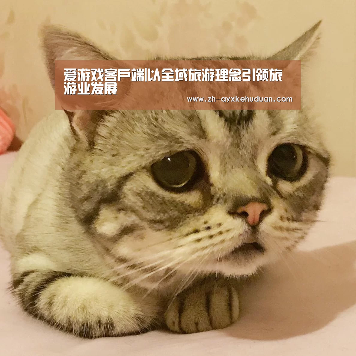 爱游戏客户端|以全域旅游理念引领旅游业发展(图3) 爱游戏客户端