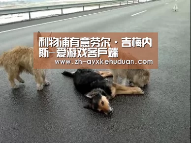 利物浦有意劳尔·吉梅内斯-爱游戏客户端