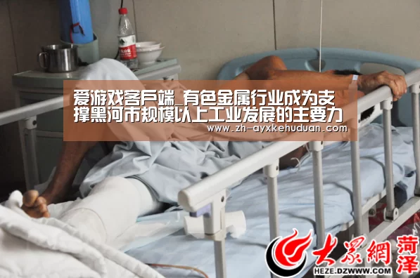 爱游戏客户端_有色金属行业成为支撑黑河市规模以上工业发展的主要力量(图2) 爱游戏客户端